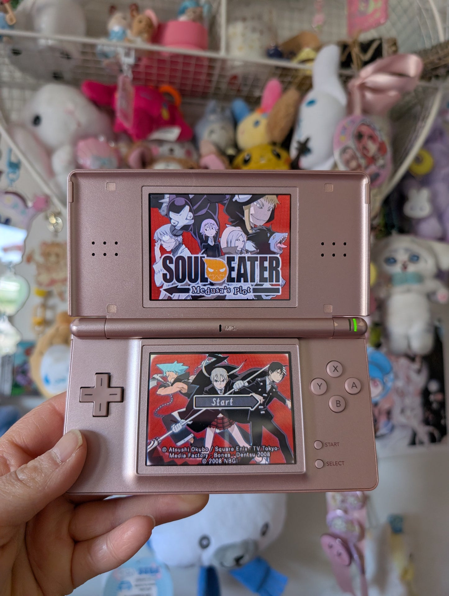Pink DSLite Bundle