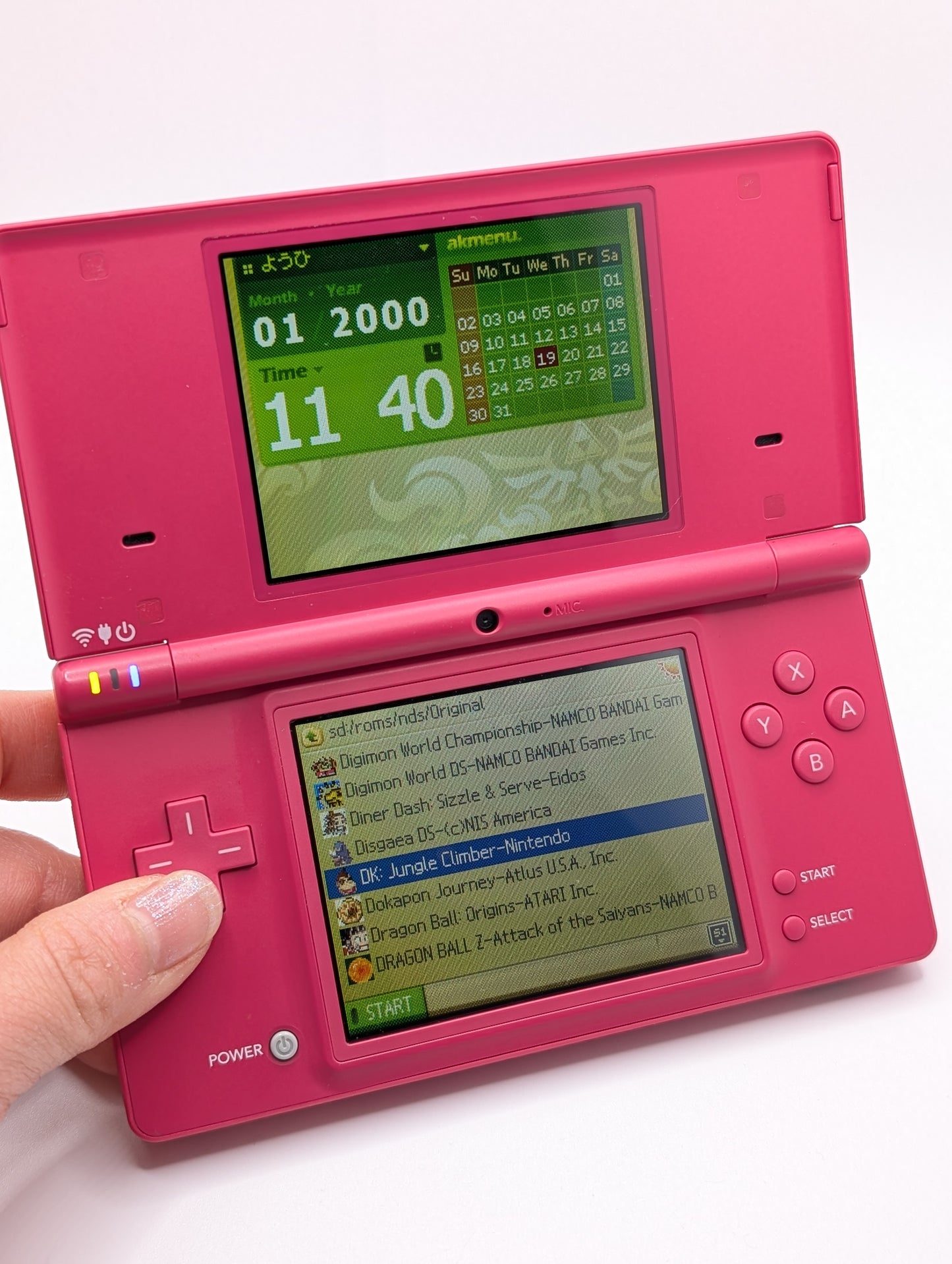 Pink DSi