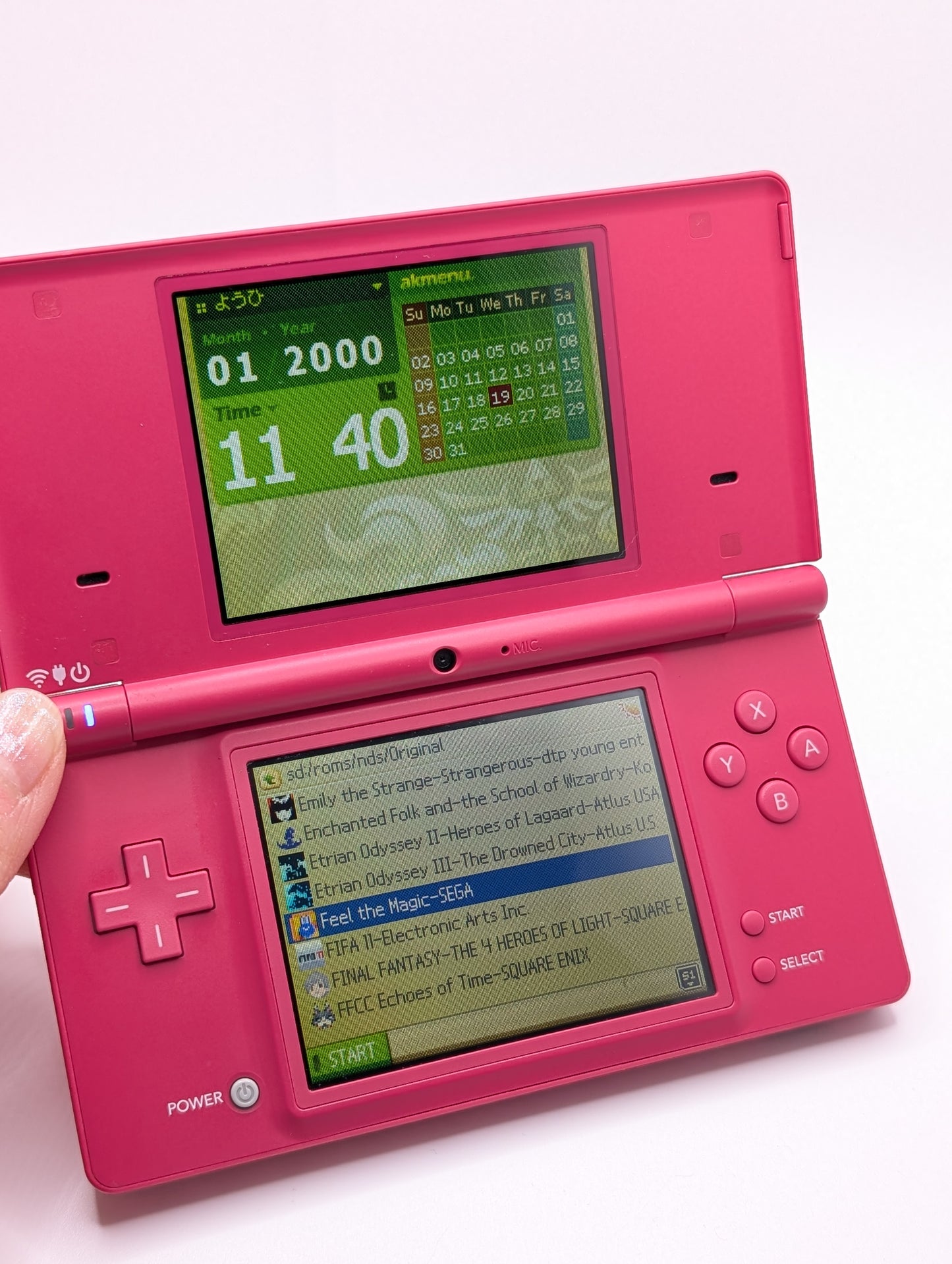Pink DSi