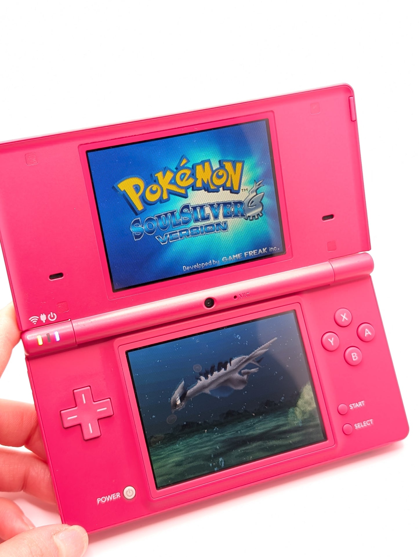 Pink DSi