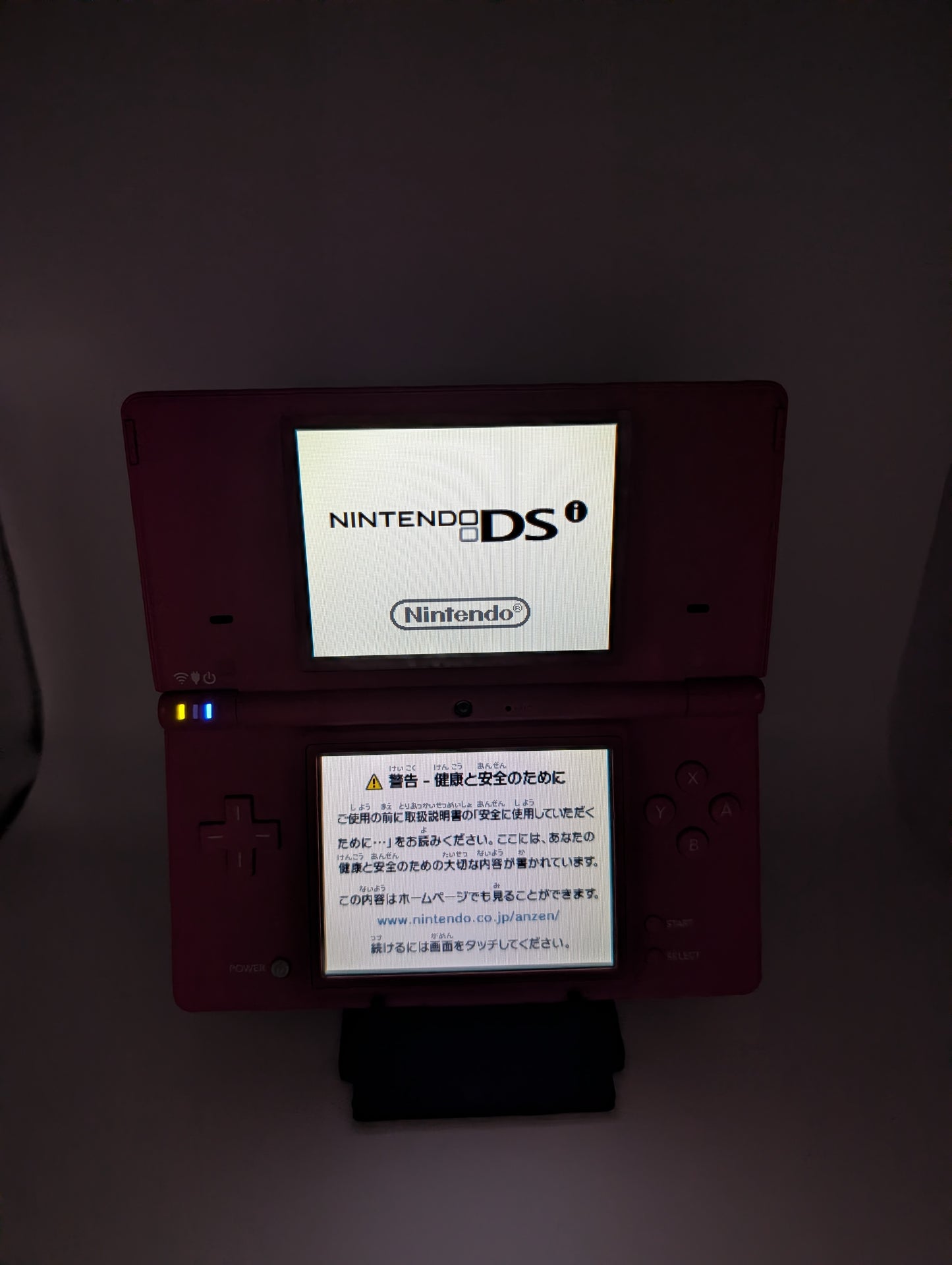 Pink DSi
