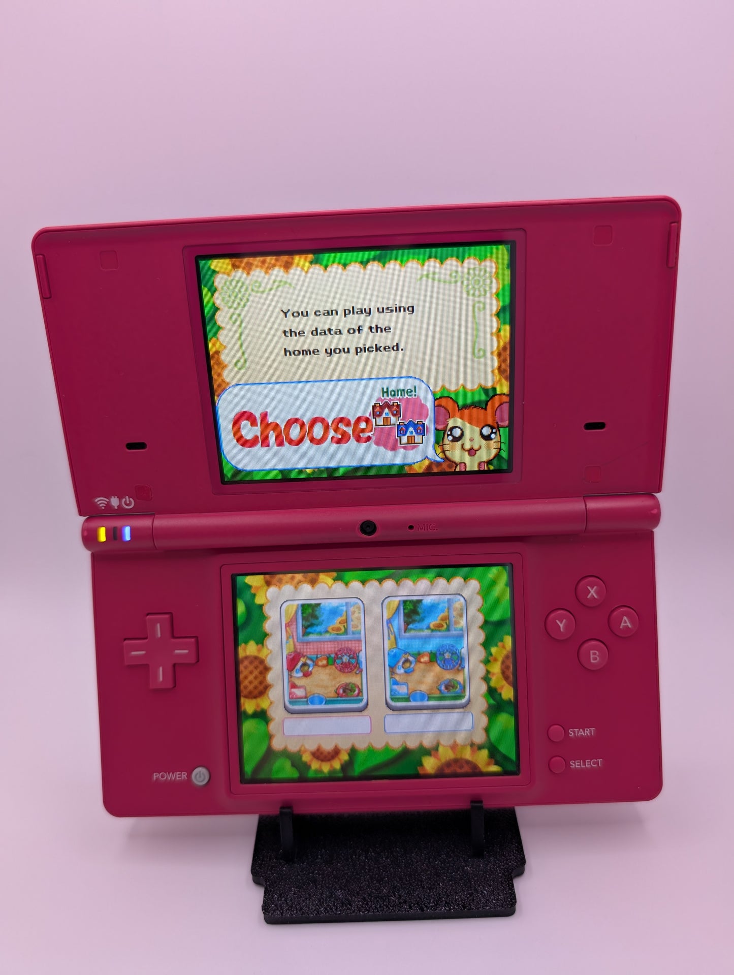 Pink DSi