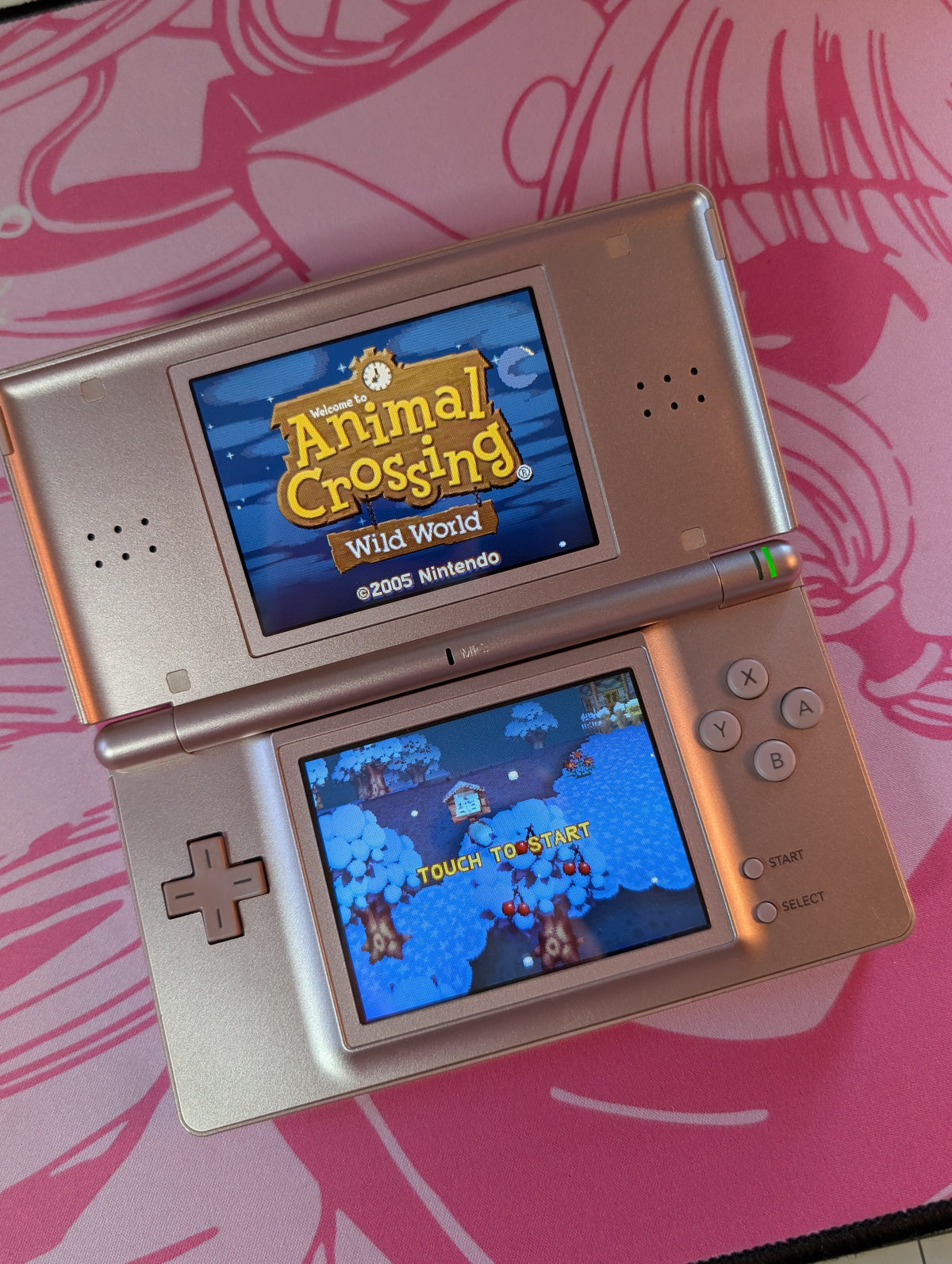 Pink DS Lite Bundle